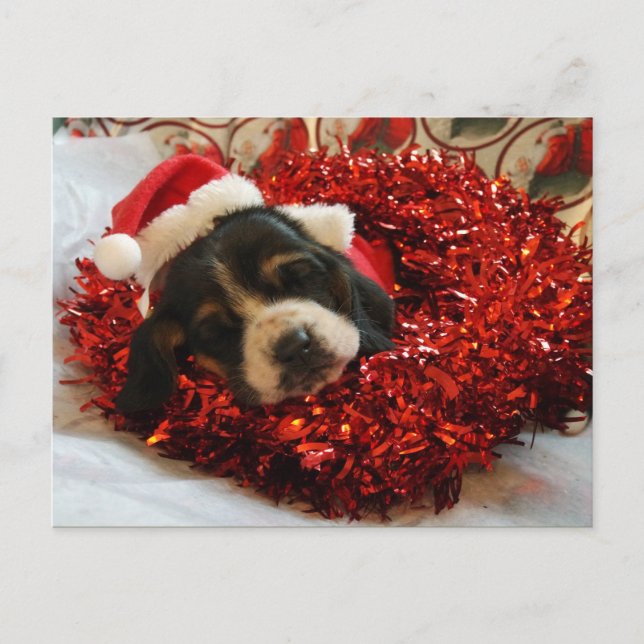 Carte postale de Noël Basset Hound (Devant)