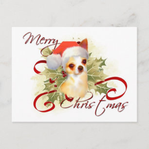 Carte postale de Noël Chihuahua