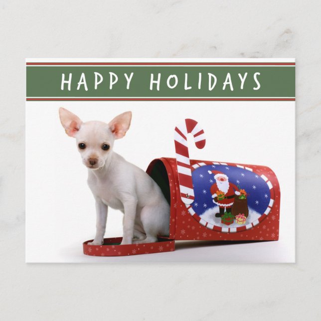 Carte postale de Noël Cute Chihuahua (Devant)