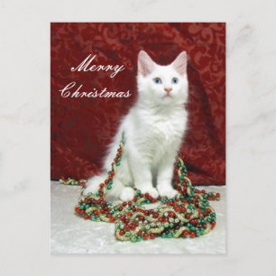 Carte postale de Noël de Bianca - Chat / Kitten