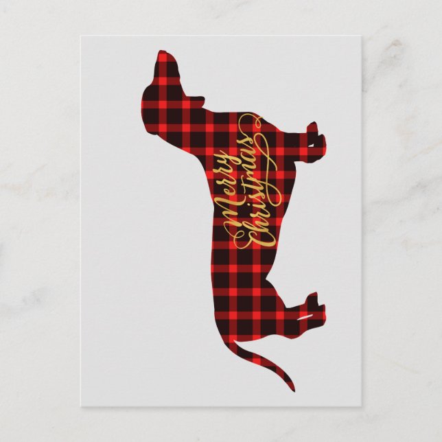 Carte postale de Noël de Buffalo Plaid Dachshund (Devant)