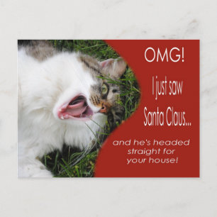 Carte postale de Noël de chat amusant