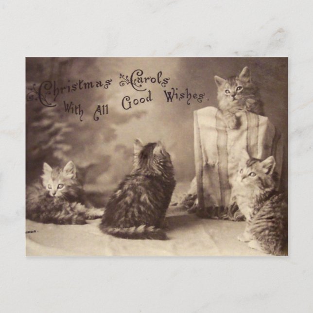 Carte postale de Noël de chat vintage (Devant)