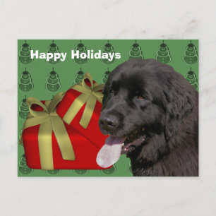 Carte postale de Noël de chien de Terre-Neuve