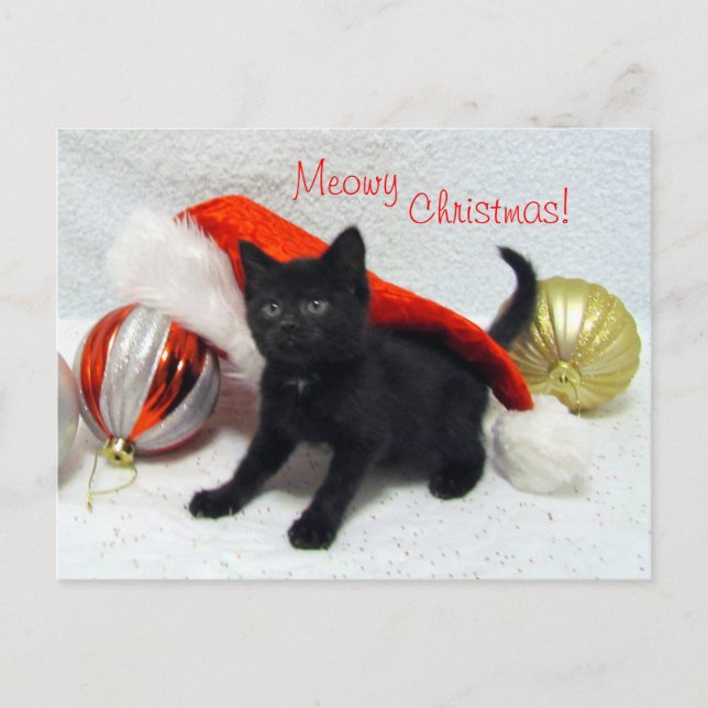 Carte postale de Noël de Joon - chat / chaton (Devant)