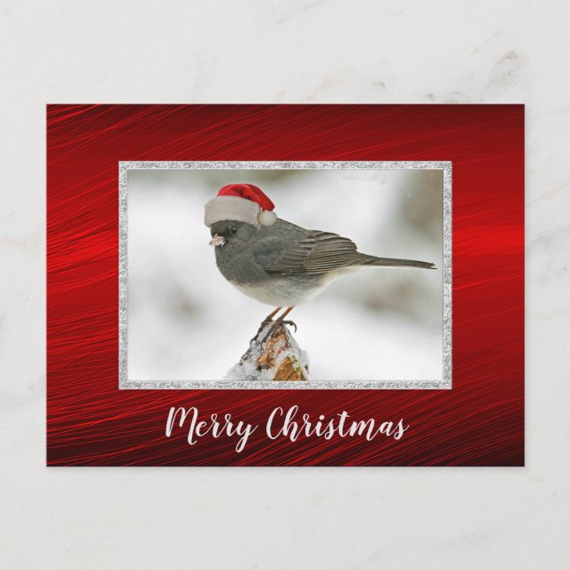 Carte postale de Noël de Noël de l'Casquette de Cu (Devant)