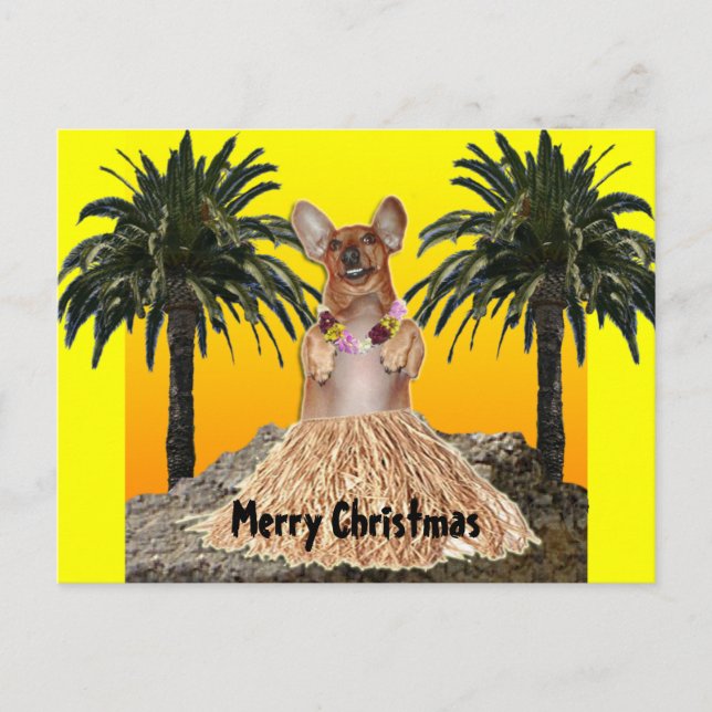 Carte postale de Noël de teckel de danse (Devant)