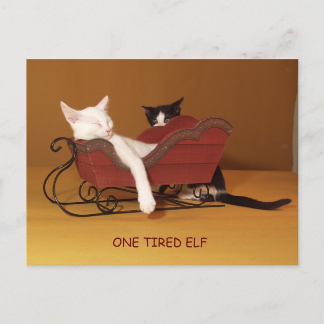 Carte postale de Noël d'un elfe fatigué (Devant)