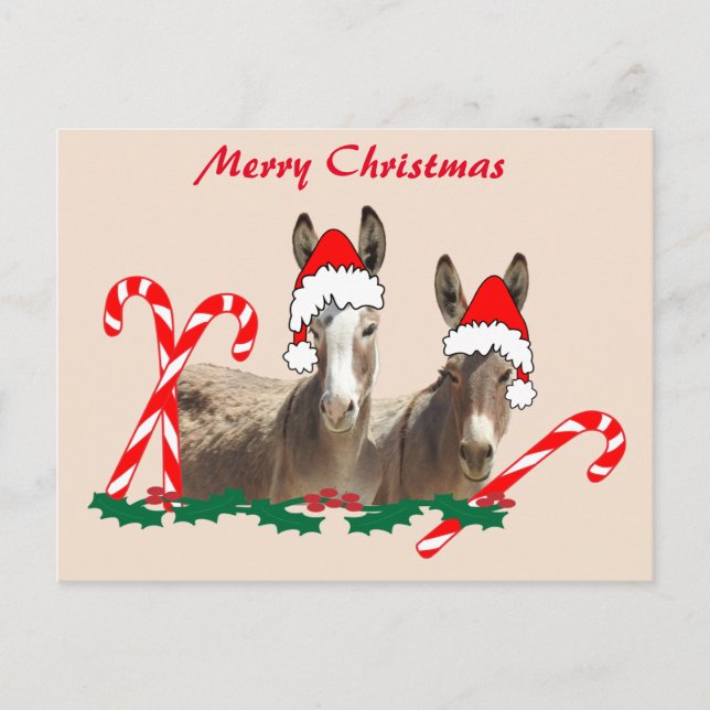 Carte postale de Noël, faune, ânes, carte postale (Devant)