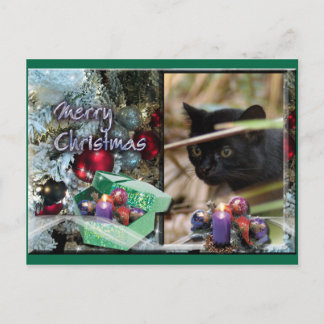 Carte postale de Noël Geoffroy Cat