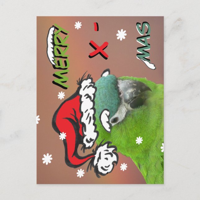 Carte postale de Noël Green Lorikee Père Noël (Devant)
