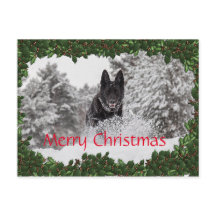 Carte postale de Noël personnalisée avec chien noi