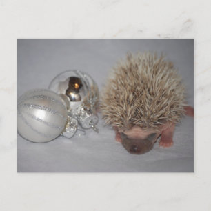 Carte postale de Noël pour bébé Hérisson