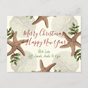 Carte postale de Noël Starfish and Sand Dollars