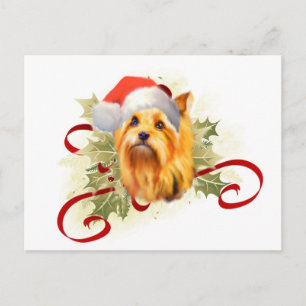 Carte postale de Noël Yorkshire Terrier