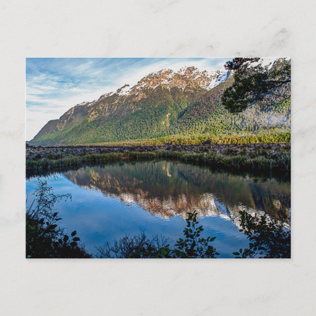 Carte postale de Nouvelle-Zélande (Devant)