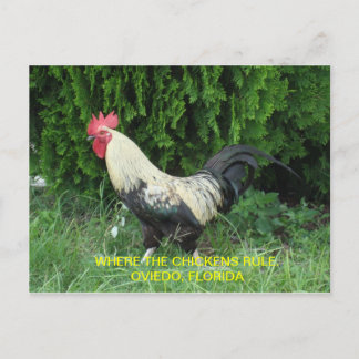 Carte postale de Oviedo