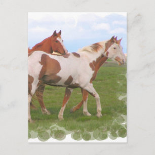 Carte postale de paire de chevaux