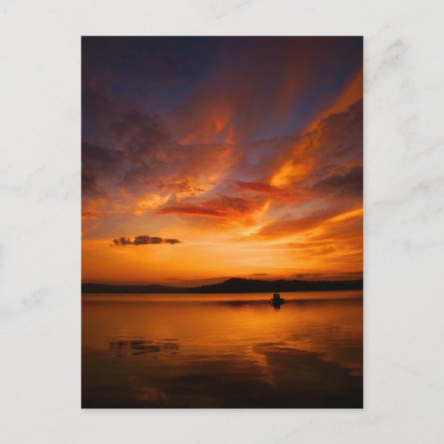 Carte postale de palette de natures (Devant)