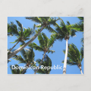 Carte postale de palmier dominicain
