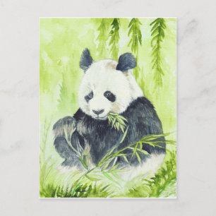 Carte postale de panda géant