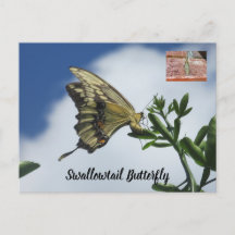 Carte postale de papillon Swallowtail