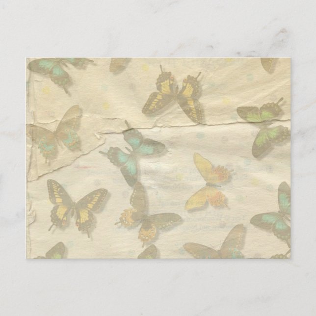 Carte postale de papillons (Devant)