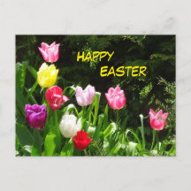 Carte postale de Pâques aux Tulipes colorées