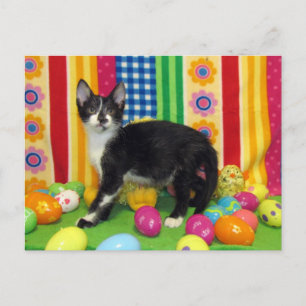 Carte postale de Pâques de Foxi Moxi