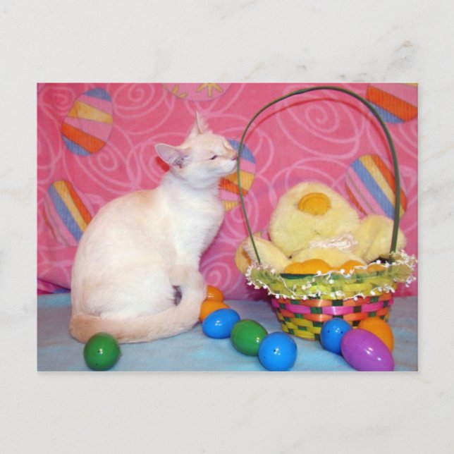 Carte postale de Pâques de Tiffany (Devant)