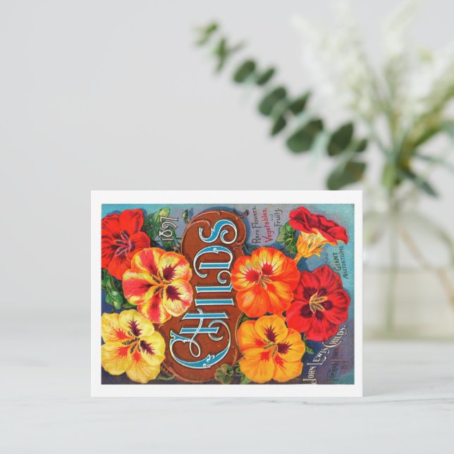 Carte postale de paquets de semences. (Debout devant)