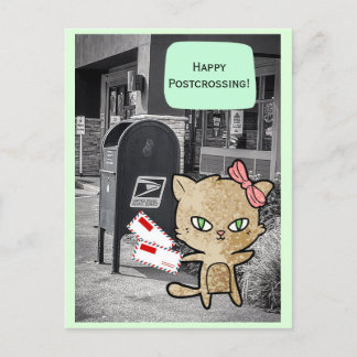 Carte postale de passage de boîte aux lettres Cat