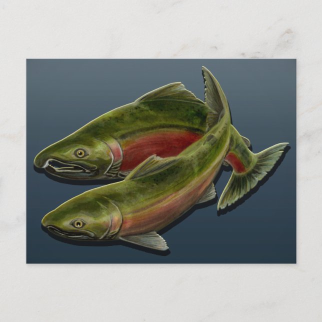 Carte postale de pêche Carte postale personnalisée (Devant)
