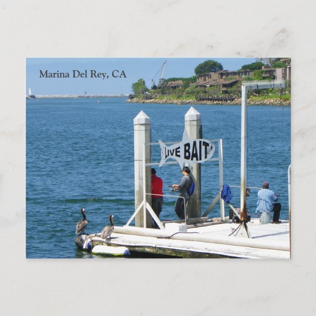 Carte postale de pêche Marina Del Rey ! (Devant)