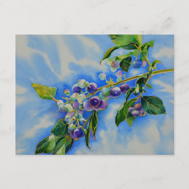 Carte postale de peinture à l'aquarelle myrtille (Devant)