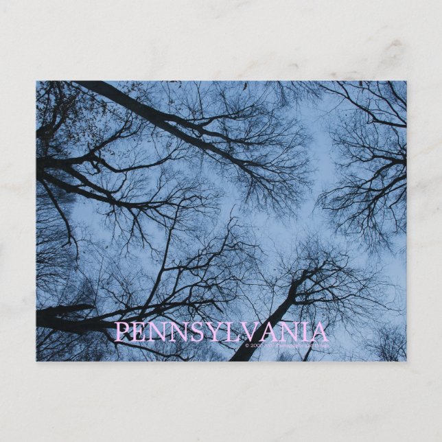 Carte postale de Pennsylvanie touchant le ciel (Devant)