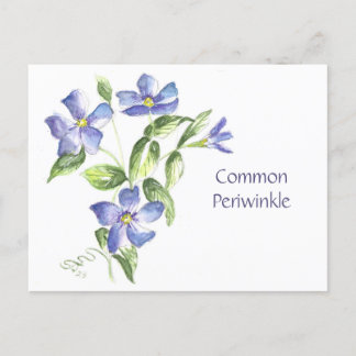 Carte postale de périphérie commune