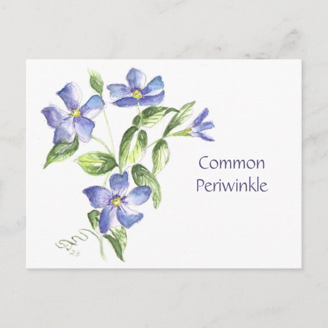 Carte postale de périphérie commune (Devant)