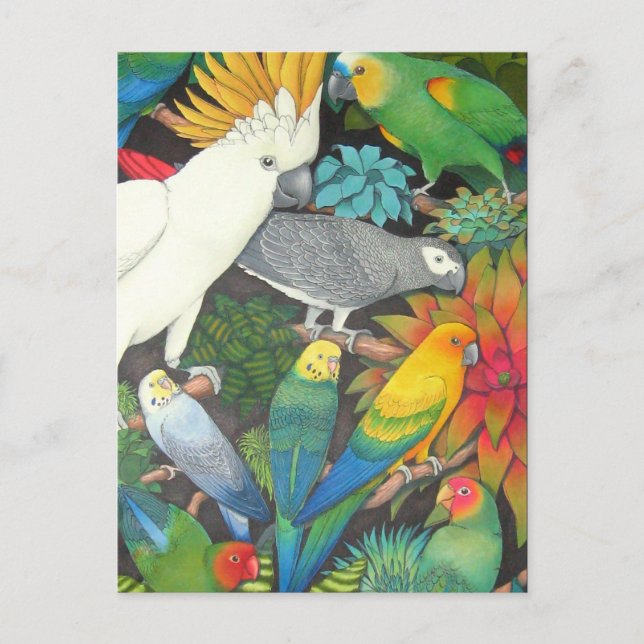 Carte postale de perroquets et broméliades tropica (Devant)
