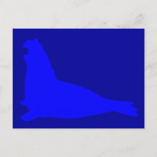 Carte postale de phoque éléphant bleu