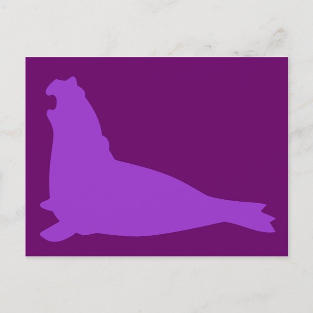 Carte postale de phoque éléphant violet (Devant)