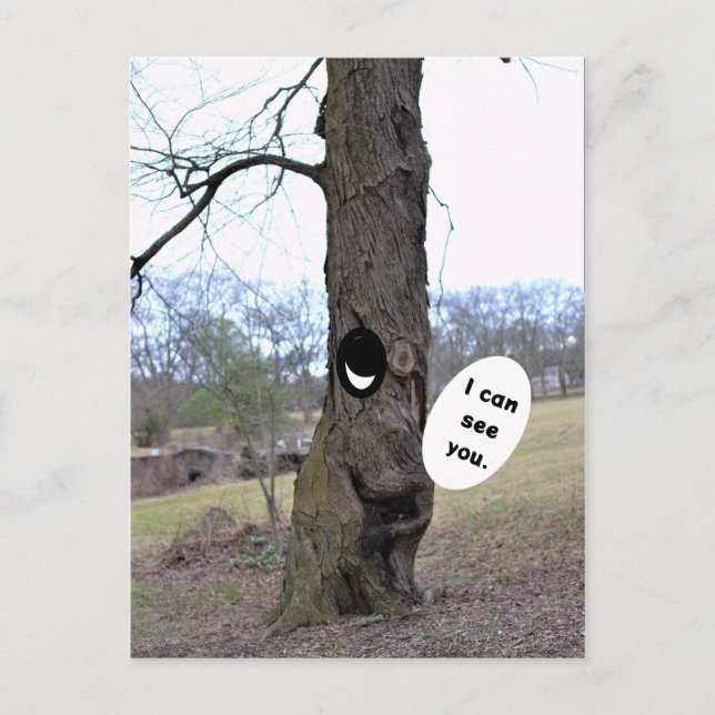Carte postale de photo Funny Tree (Devant)