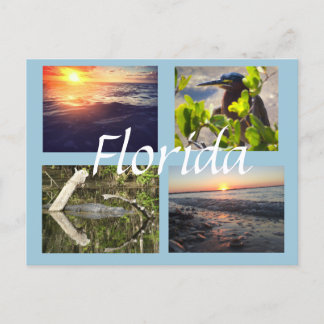 Carte postale de photographie de la Floride