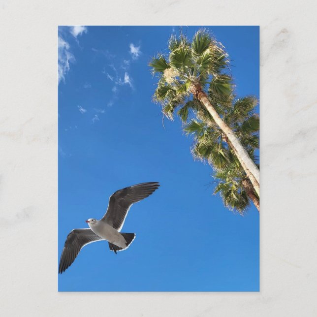 Carte postale de plage (Devant)