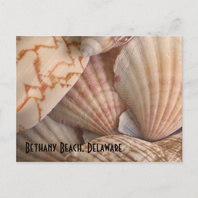 Carte postale de plage de Bethany (Devant)