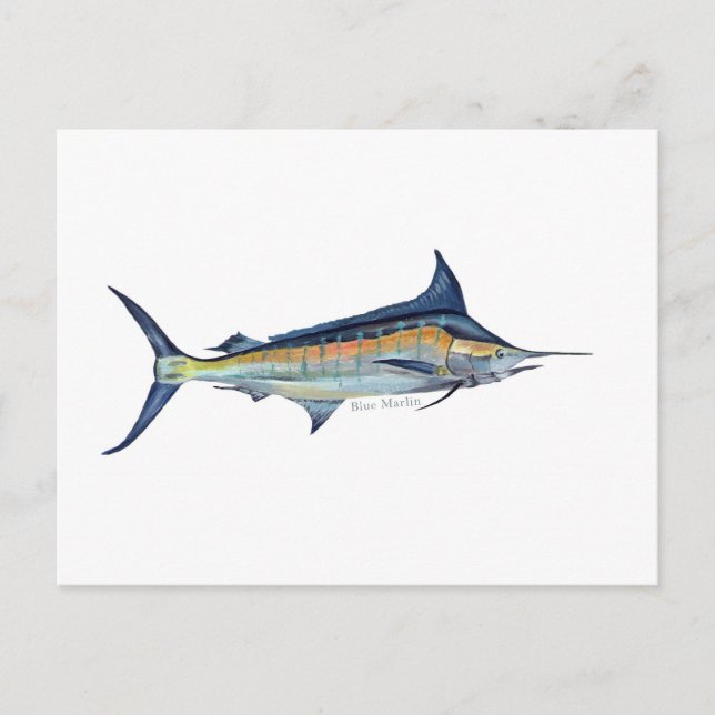 Carte postale de poisson Blue Marlin (Devant)