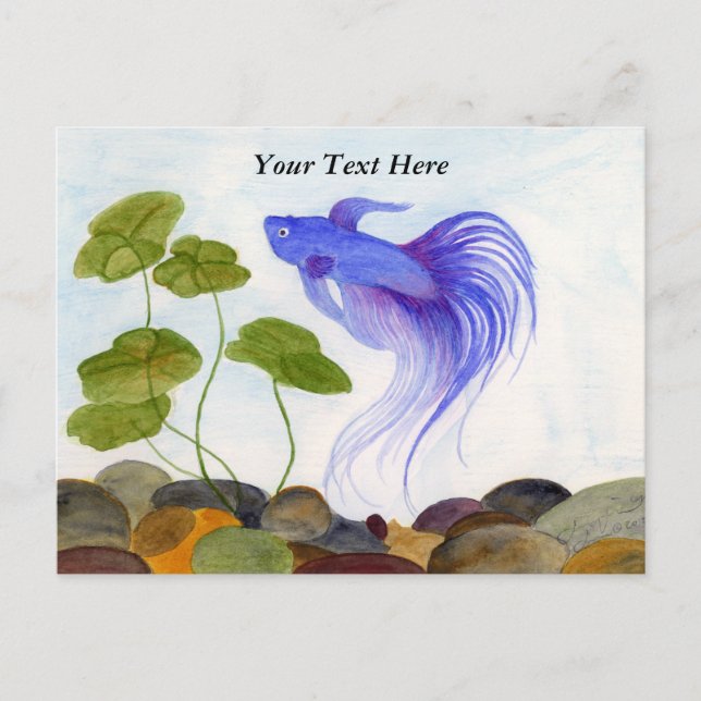 Carte postale de poisson combattant bleu (Devant)