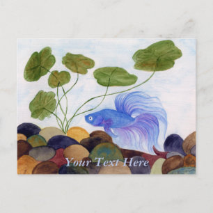 Carte postale de poisson combattant bleu