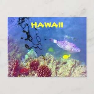 Carte postale de poisson hawaïen