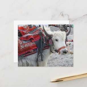 Carte postale de Pongong Himalayan Mountain